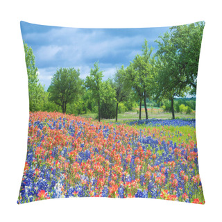 Personality  Wildflower Field In Texas Spring Pillow Covers