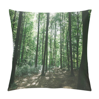 Personality  Nature Pillow Covers