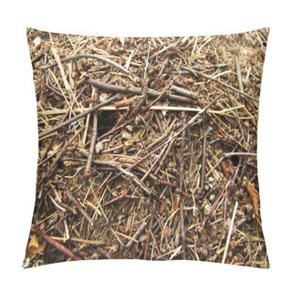 Personality  Big Ant Hill In Coniferous Wood Pillow Covers