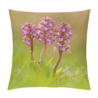 Personality  Flowering European Terrestrial Wild Orchid Pillow Covers