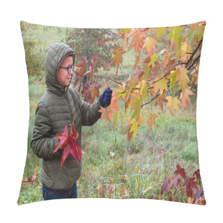 Personality  Little Boy With Autumn Leaves In The Park.  Pillow Covers
