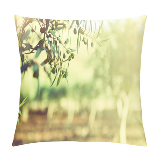 Personality  Olive Trees Garden Pillow Covers