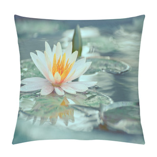 Personality  Waterlily Or Lotus Flower In A Pond With Rain Drop Pastel Or Vin Pillow Covers