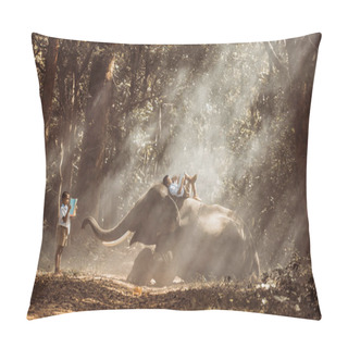 Personality  School Boy Studying In The Jungle With His Friend Elephant Pillow Covers