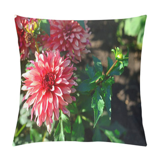 Personality  Bouquet Of Pink Dahlias Flowers In A Garden On A Flowerbed Pillow Covers