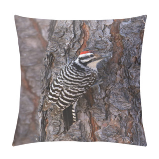 Personality  Ladder-backed Woodpecker Male (dryobates Scalaris) On Tree Bark Pillow Covers