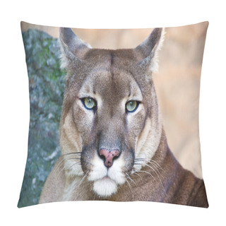 Personality  Puma Pillow Covers