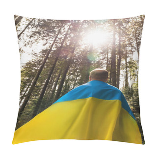 Personality  Back View Of Man In Ukrainian Flag Standing In Surest With Sunlight  Pillow Covers