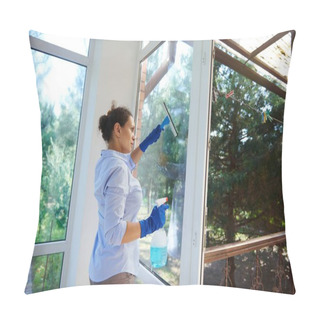 Personality  Multi-ethnic Maid Doing Household Chores Wiping Windows, Spraying Detergent And Using Scraper Removes Stains, Dust And Streaks While Keeping House Tidy. Housekeeping. Domestic Life. Cleaning Concept Pillow Covers