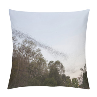 Personality Mass Flight Of Bats Pillow Covers