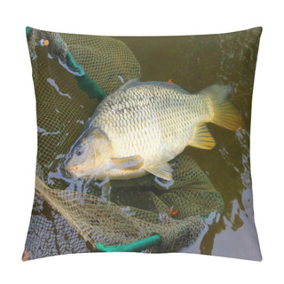 Personality  Fishing Catch, The Common Carp Pillow Covers