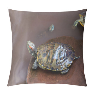Personality  Close Up The Red-eared Slider Turtle Is Pet And Stay On The Rock And In Water Pillow Covers