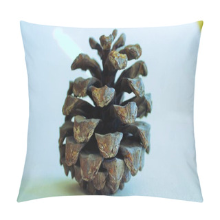 Personality  This Photograph Zooms In On The Mesmerizing Details Of A Single Cone. The Cone's Intricate Textures And Patterns Are Revealed Through The Lens, Showcasing The Natural Beauty Hidden Within. Its Pointed Elegance Is A Symbol Of Nature's Precision. Pillow Covers