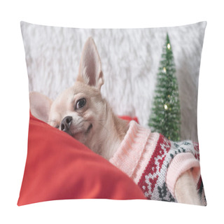 Personality  Adorable Little Christmas Dog Chihuahua Dog In Sweater Lies On A Blanket Pillow Covers