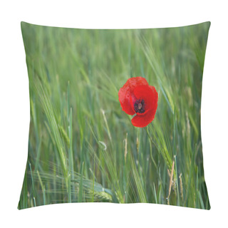 Personality  Bright Red Poppy On A Contrasting Background Of Green Grass Pillow Covers