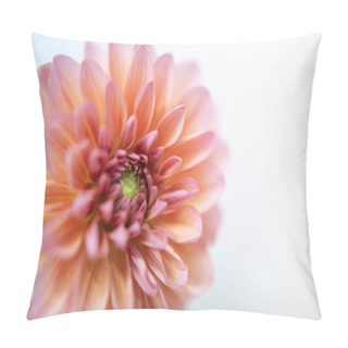 Personality  Close Up Of Beautiful Orange Pink Yellow Flower With Copy Space  Pillow Covers