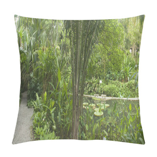Personality  Tropical Garden, Malaysia Pillow Covers