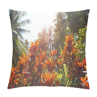 Personality  Croton, Variegated Laurel, Close Up Of Croton Leaf, Plant In Thailand, Croton Leaves Pillow Covers