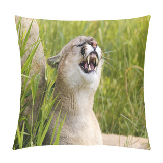 Personality  Cougar Snarling Pillow Covers
