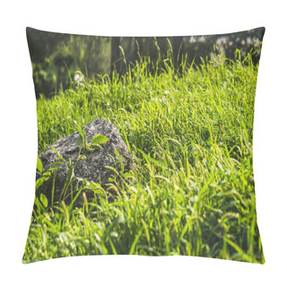 Personality  Close-up Shot Of Rock Lying In Green Grass Under Sunlight Pillow Covers