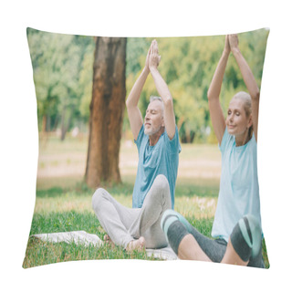 Personality  Mature Man And Woman Meditating While Sitting In Lotus Poses On Yoga Mats In Park Pillow Covers