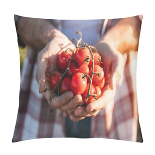 Personality  Farmer Holding Tomatoes Pillow Covers