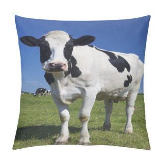 Personality  Beautiful Cow On Green Grass Pillow Covers
