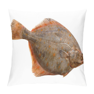 Personality  European Plaice Pillow Covers