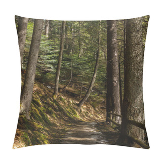 Personality  Walkway Between Evergreen Trees And Moss On Hill In Forest  Pillow Covers