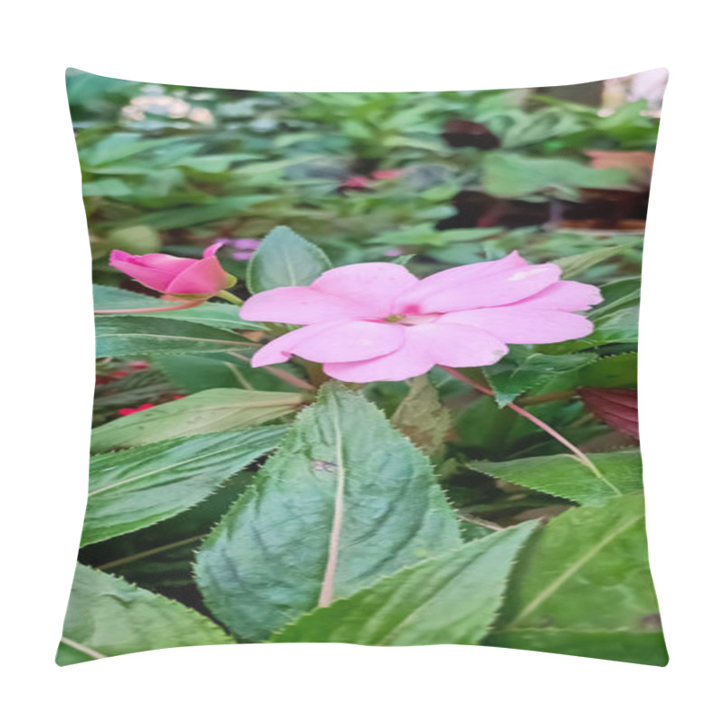 Personality  Beautiful Pink Impatiens flowers blooming in the Garden  pillow covers