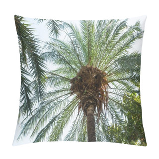 Personality  Bottom View Of Palms Under Clear Sky Pillow Covers