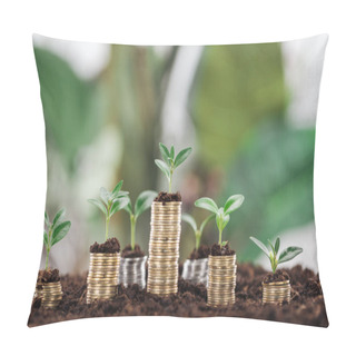 Personality  Arranged Coins With Green Leaves And Soil, Financial Growth Concept Pillow Covers