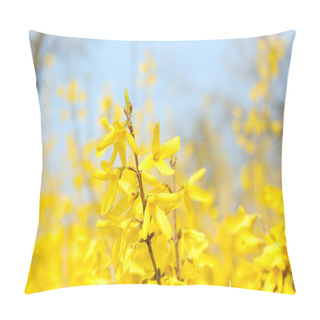 Personality  Beautiful Forsythia Blossom Outdoors Pillow Covers
