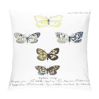 Personality  Illustration Of Butterflies. Old Image Pillow Covers