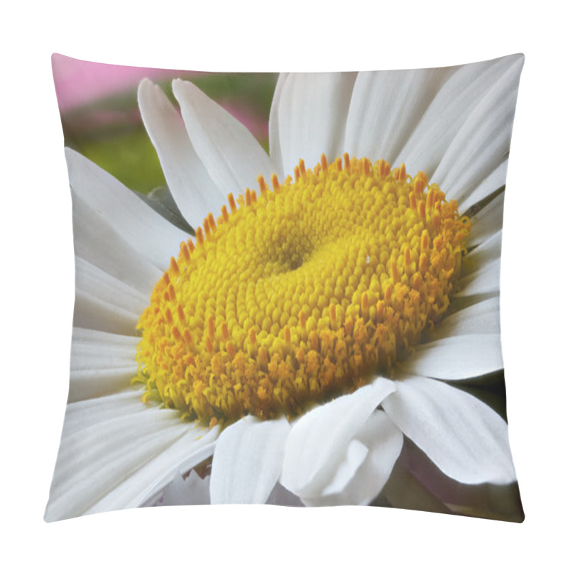 Personality  daisies pillow covers
