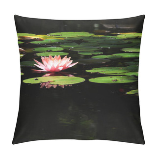 Personality  Waterlily 6 Pillow Covers