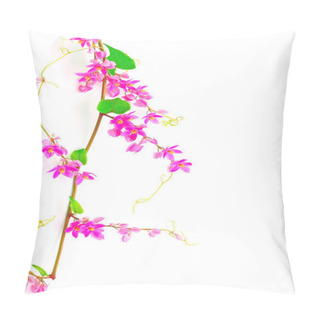 Personality  Coral Vine Pillow Covers