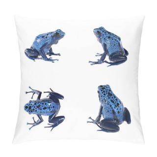 Personality  Blue Dyeing Dart Frog Dendrobates Tinctorius Pillow Covers