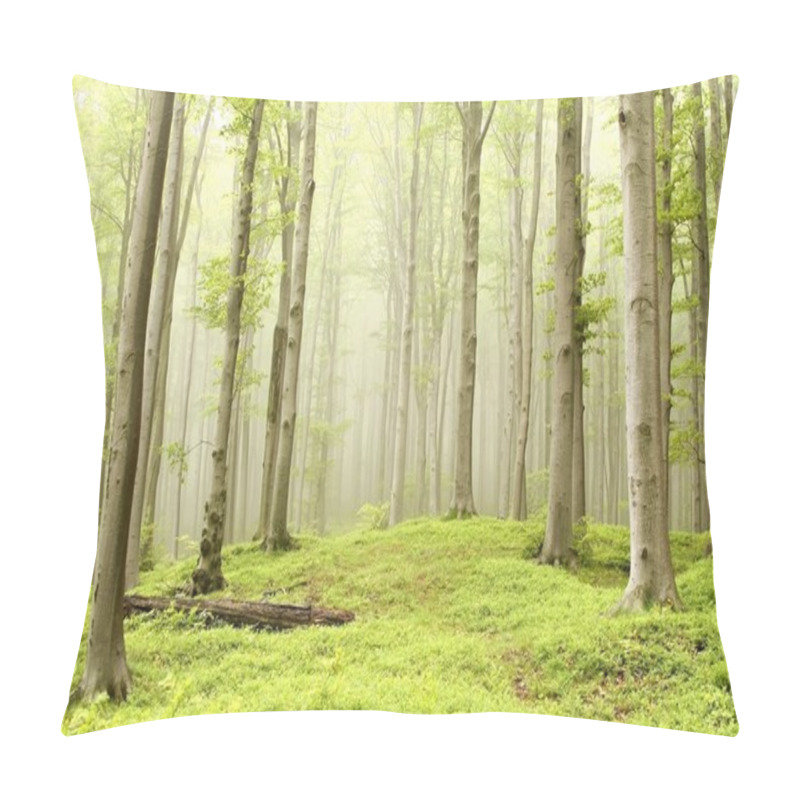 Personality  Enchanted spring forest pillow covers