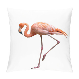 Personality  American Flamingo Bird (Phoenicopterus Ruber) Isolated On White  Pillow Covers