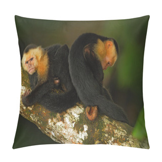 Personality  Capuchin Monkeys Sitting On The Tree Branch Pillow Covers