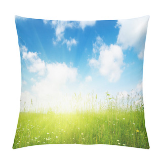 Personality  Field Of Flowers And Sunlight Pillow Covers