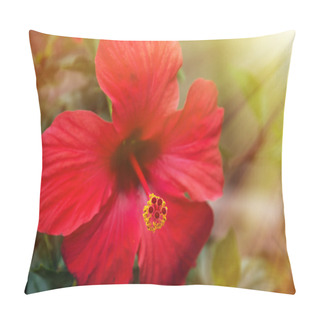 Personality  Red Hibiscus Flower In The Sunshine Pillow Covers