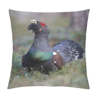 Personality  Male Western Capercaillie Pillow Covers