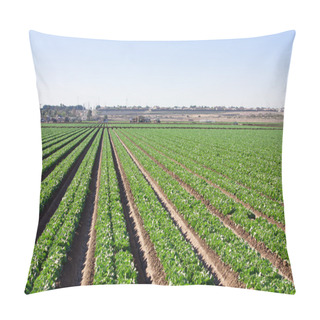 Personality  Laser Straight Field Rows In The Desert Horizontal Pillow Covers