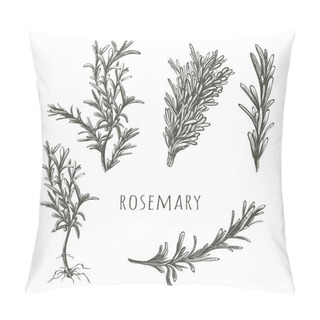 Personality   Rosemary Sketch Vector Illustration. Pillow Covers