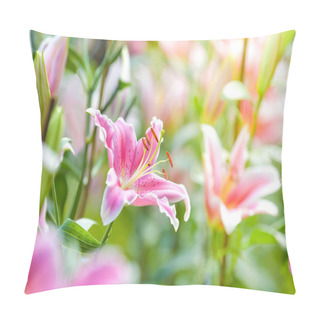 Personality  Pink Lily Flower In Flower Field. Spring Nature Background. Pillow Covers