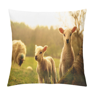 Personality  Spring Lambs Pillow Covers