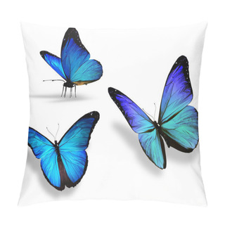 Personality  Three Blue Butterfly, Isolated On White Background Pillow Covers
