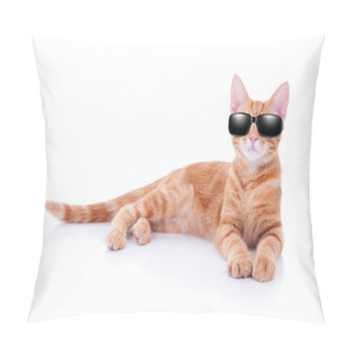 Personality  Summer Holiday Cat Pillow Covers